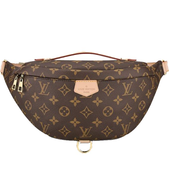 Louis Vuitton Monogram BUMBAG – Luxury Dupes